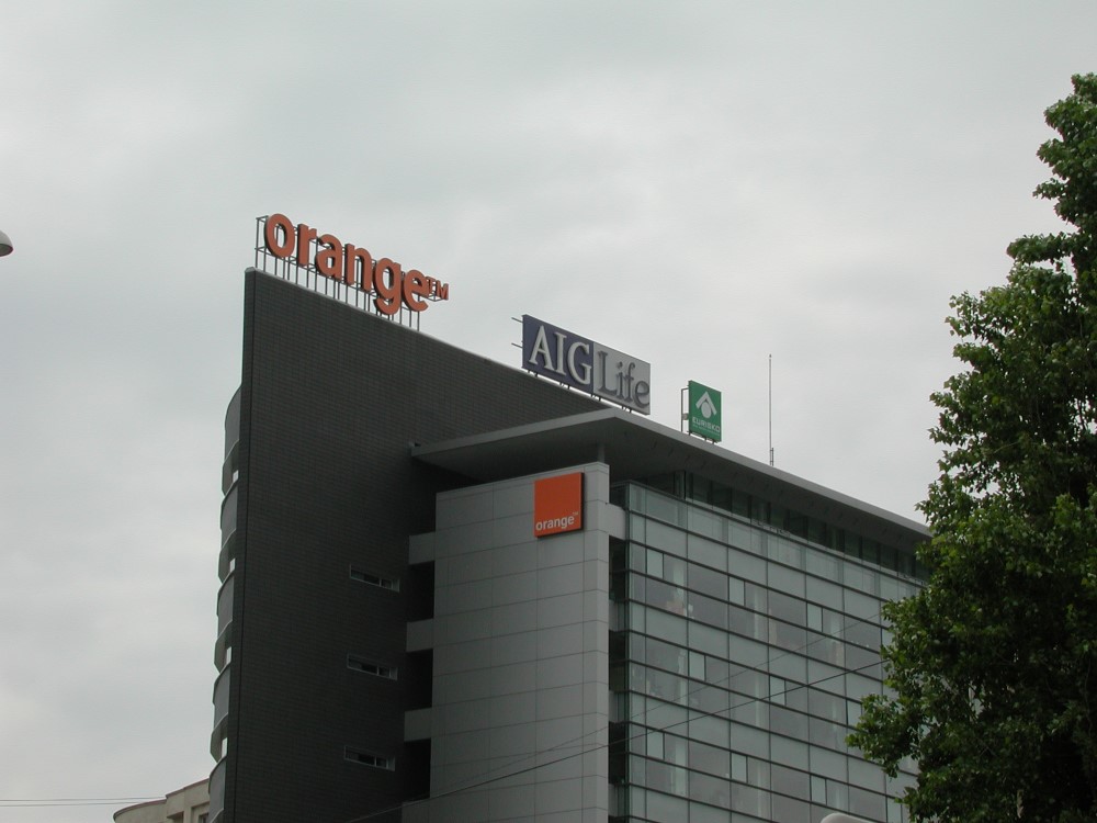 Owl Image